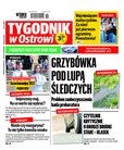 : Tygodnik Ostrołęcki - Tygodnik w Ostrowi - 19/2022