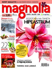 : Magnolia - e-wydanie – 08/2012