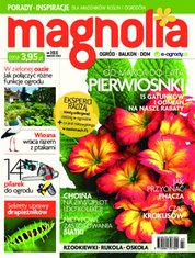 : Magnolia - e-wydanie – 3/2013