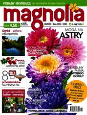 : Magnolia - e-wydanie – 11/2013