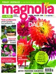 : Magnolia - 9/2013