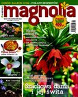 : Magnolia - 4/2016