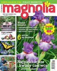 : Magnolia - 6/2016