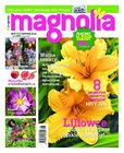 : Magnolia - 8/2016