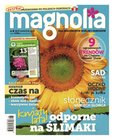 : Magnolia - 8/2017
