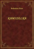 Naukowe i akademickie: Kamizelka - ebook
