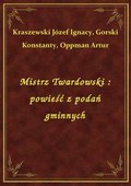 Mistrz Twardowski : powieść z podań gminnych - ebook