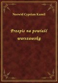 Przepis na powieść warszawską - ebook