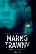 Marnotrawny - ebook