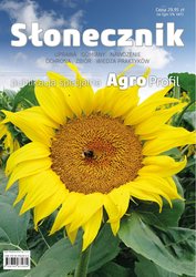 : Słonecznik - uprawa, odmiany, nawożenie, ochrona, zbiór - ebook