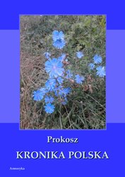 : Kronika Polska - ebook