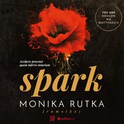 : Spark - audiobook