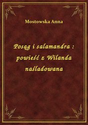 : Posąg i salamandra : powieść z Wilanda naśladowana - ebook