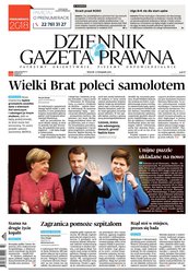 : Dziennik Gazeta Prawna - e-wydanie – 225/2017